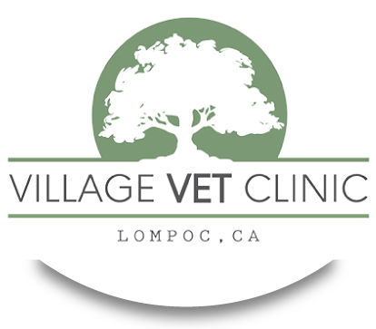 Village Vet Clinic